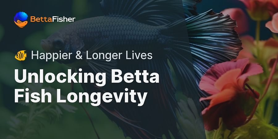 Unlocking Betta Fish Longevity - ๐ Happier & Longer Lives