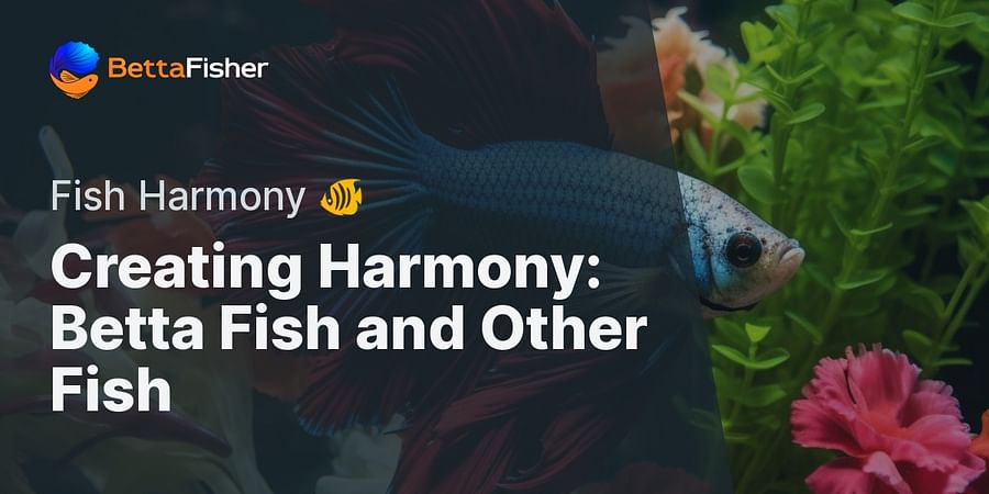 Creating Harmony: Betta Fish and Other Fish - Fish Harmony π