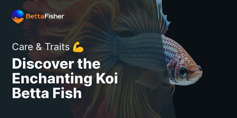 Discover the Enchanting Koi Betta Fish - Care & Traits πͺ