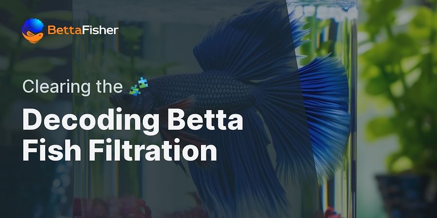 Decoding Betta Fish Filtration - Clearing the π§©