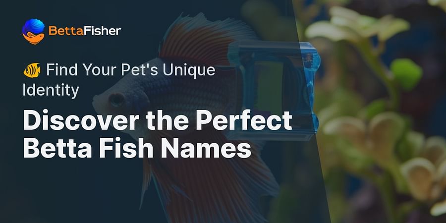 Discover the Perfect Betta Fish Names - 🐠 Find Your Pet's Unique Identity