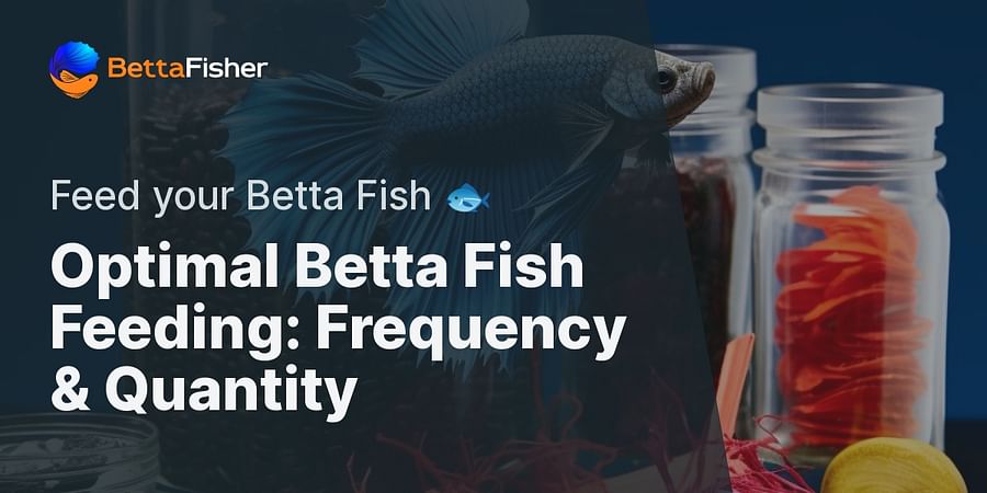Optimal Betta Fish Feeding: Frequency & Quantity - Feed your Betta Fish ๐