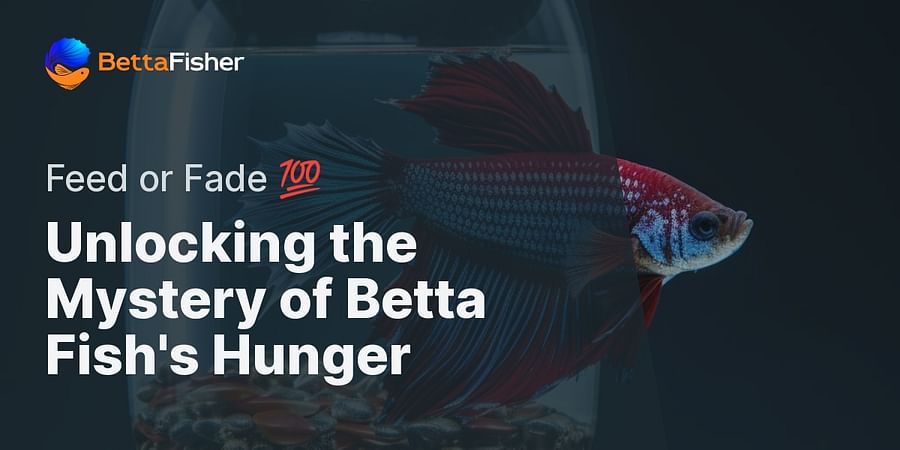 Unlocking the Mystery of Betta Fish's Hunger - Feed or Fade 💯