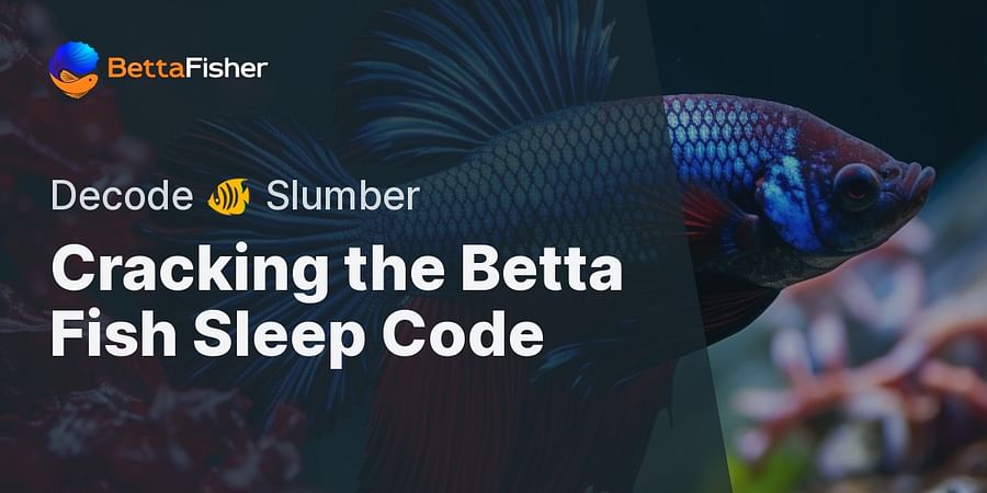 Cracking the Betta Fish Sleep Code - Decode π Slumber