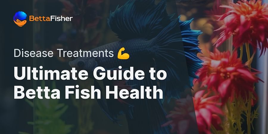 Ultimate Guide to Betta Fish Health - Disease Treatments 💪